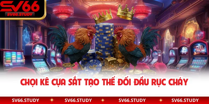 Chọi kê cựa sắt tạo thế đối đầu rực cháy
